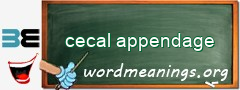 WordMeaning blackboard for cecal appendage